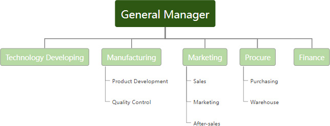 Company Structure